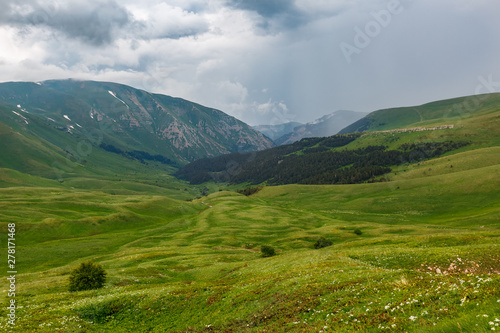 Fototapeta Naklejka Na Ścianę i Meble -  Highlands and green meadows Oshten Fisht in the Caucasus Reserve. Caucasian reserve, mountain, Krasnodar region