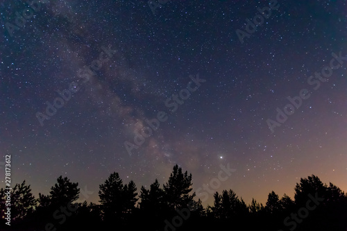 beautiful night starry sky with milky way above the night forest