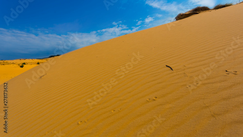 huge dune in the hot sandy desert under a cloudy sky  summer desert landscape