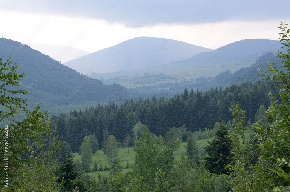 View of the Carpathian mountains, valley and forest in misty air. Site near Lugi village, Ukraine