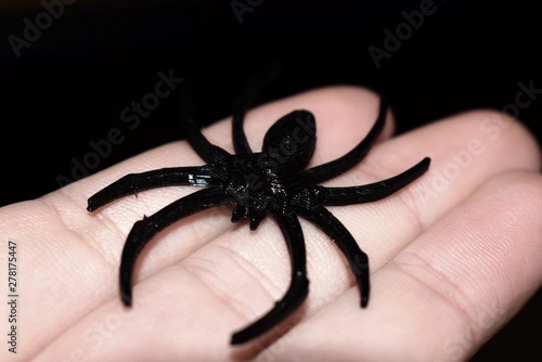 3D printed spider