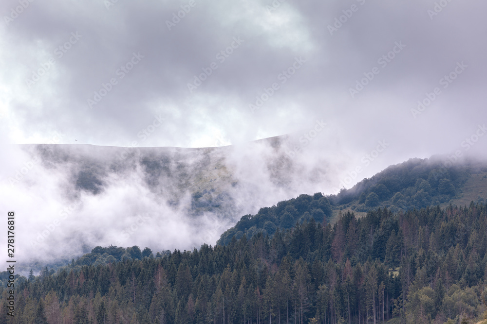 Forested mountain slope in low lying cloud, covered with the green trees in mist in a scenic landscape view. Forested mountain slope in low lying cloud, covered with the green trees in mist in a scenic landscape view.