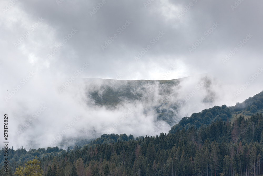 Forested mountain slope in low lying cloud, covered with the green trees in mist in a scenic landscape view.
