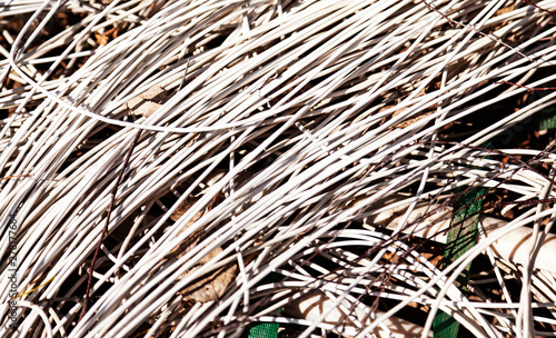 lots of cords lying on the ground