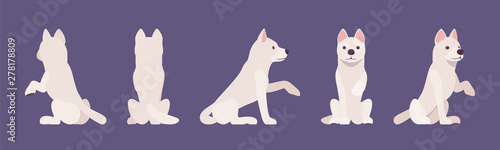 White shepherd dog giving paw, sitting. Working active breed, family companion for disability assistance, search, rescue, police, military help. Vector flat style cartoon illustration, different view