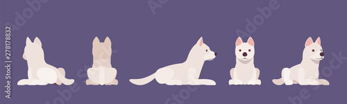 White shepherd dog lying. Working active breed  cute family pet  companion for disability assistance  search  rescue  police and military help. Vector flat style cartoon illustration  white background