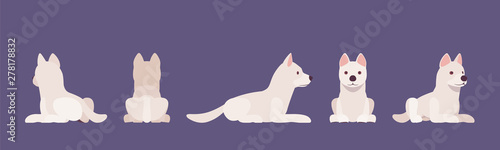 White shepherd dog lying. Working active breed, cute family pet, companion for disability assistance, search, rescue, police and military help. Vector flat style cartoon illustration, white background
