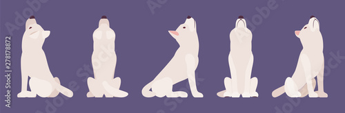 White shepherd dog howling. Working active breed, cute family pet, companion for disability assistance, search, rescue, police, military help. Vector flat style cartoon illustration, different views