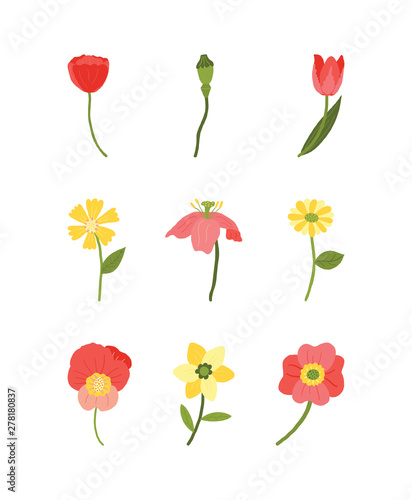 Vector flower set isolated on transparent background.