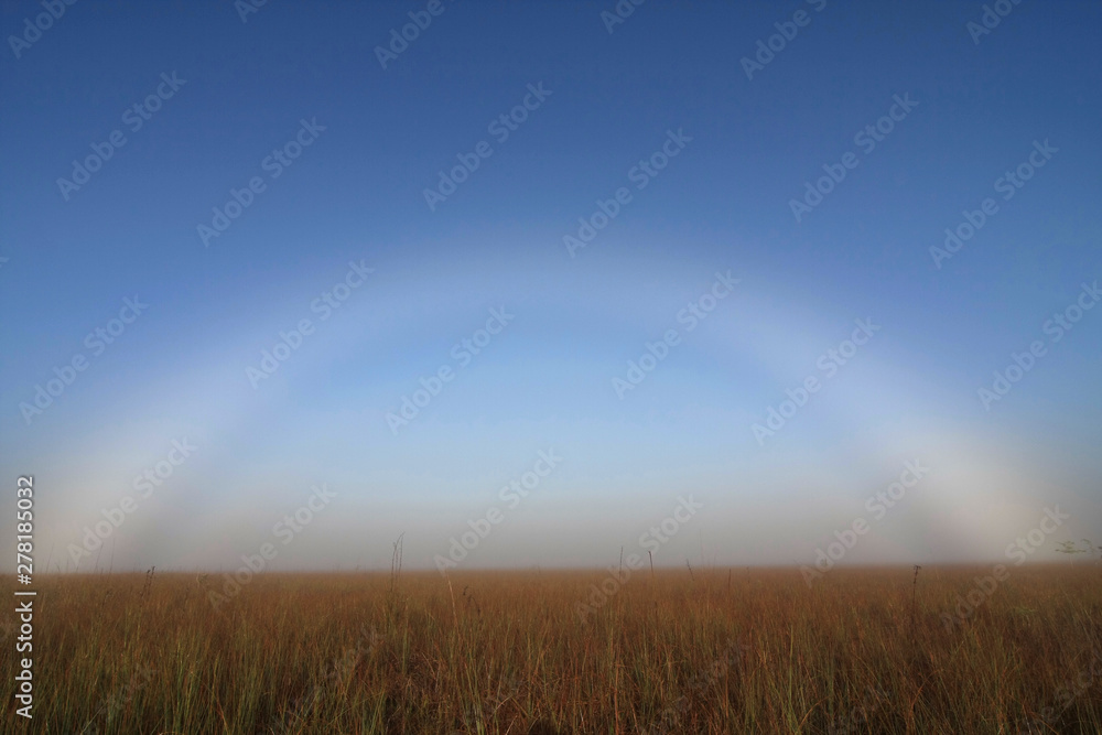 Fogbow over the Sawgrass Prairie in Everglades National Park, Florida.