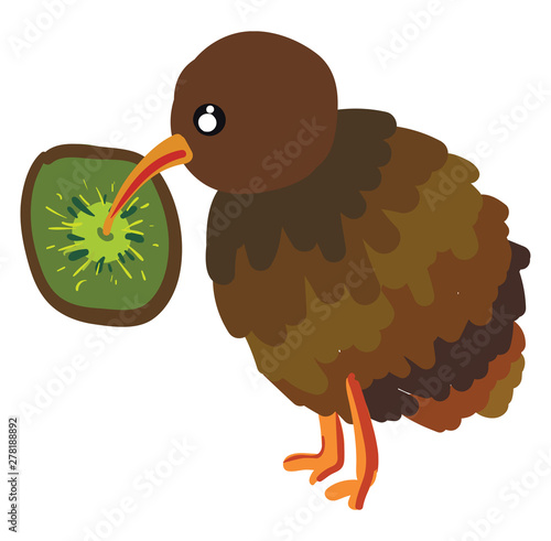 A kiwi bird and a kiwi fruit, vector or color illustration.