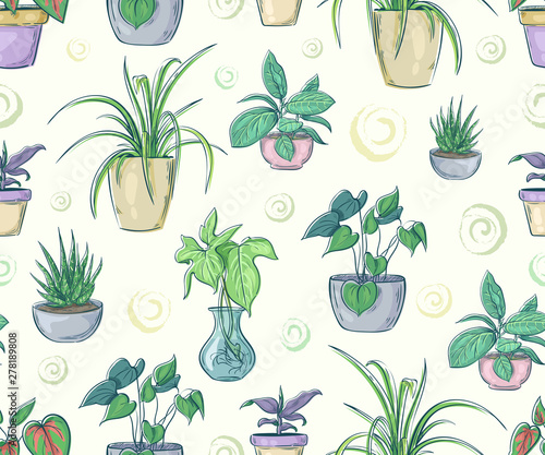 Seamless pattern with home plants in pots