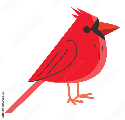 A red bird, vector or color illustration.