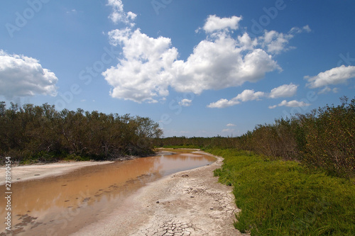Fototapeta Naklejka Na Ścianę i Meble -  Eco Pond in Everglades National Park, Florida, in extreme drought conditions.