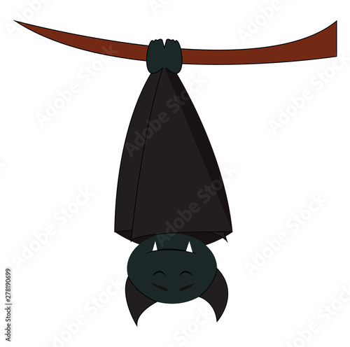 A sleeping bat, vector or color illustration.