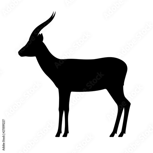Vector black silhouette antelope gazelle photo