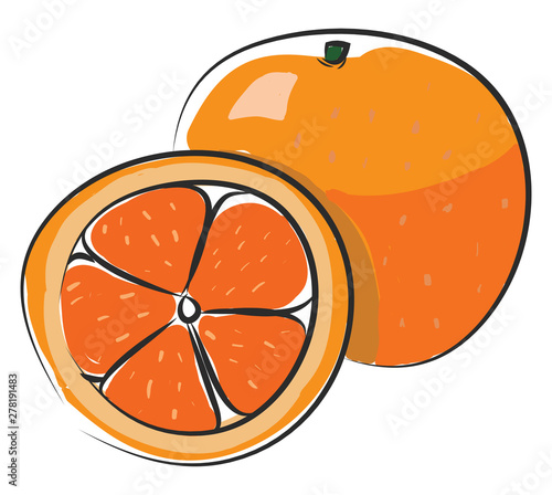 A tasty orange, vector or color illustration.
