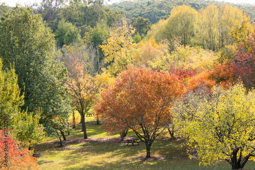 Colorful autumn colour in the botanical garden.