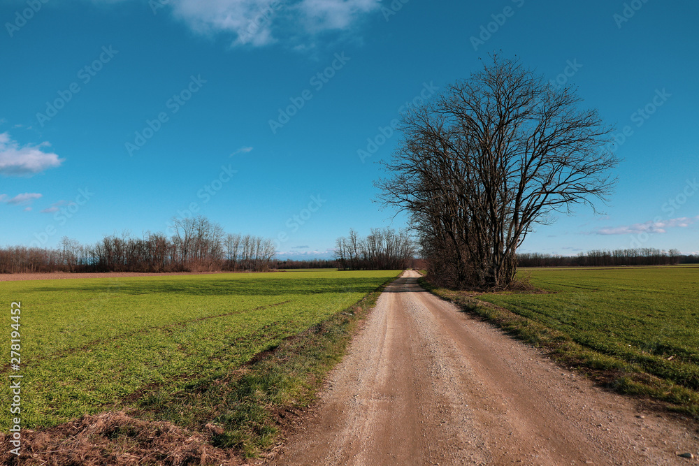 Country road surrounding agricultural fields.