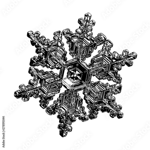 Snowflake isolated on white background. Illustration based on macro photo of real snow crystal  elegant star plate with fine hexagonal symmetry  short  broad arms and glossy relief surface.
