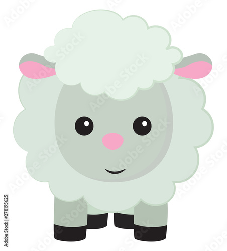 Cute little sheep, illustration, vector on white background.
