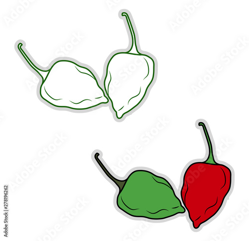 Fresh habanero, illustration, vector on white background.