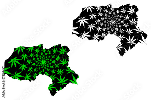 Hakkari (Provinces of the Republic of Turkey) map is designed cannabis leaf green and black, Hakkâri ili map made of marijuana (marihuana,THC) foliage,.... photo