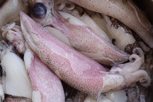 heap of raw fresh squid