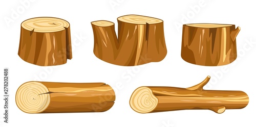 Wood stump and log wooden forest natural materials