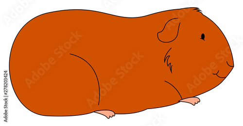 Orange fat cavy, illustration, vector on white background.