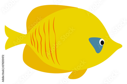 Yellow fish, illustration, vector on white background. photo