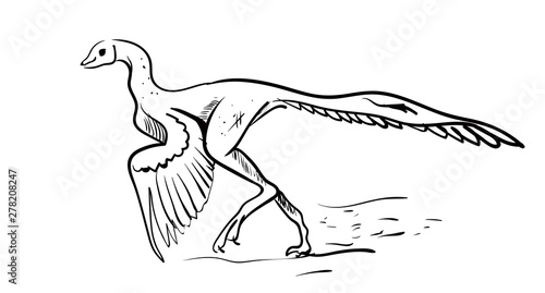 Archaeopteryx drawing, illustration, vector on white background.