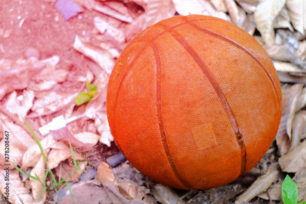 Old basketball on dry leaf ground. Old basketball on dry leaf ground.