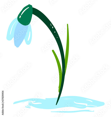 Flat snowdrop, illustration, vector on white background.