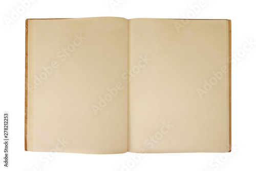 Ancient book blank pages.