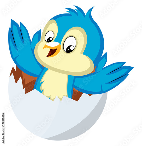 Blue bird is coming out from an egg, illustration, vector on white background.