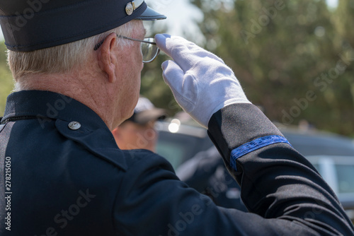 Military Member Saluting during Veteran's Day Ceremony