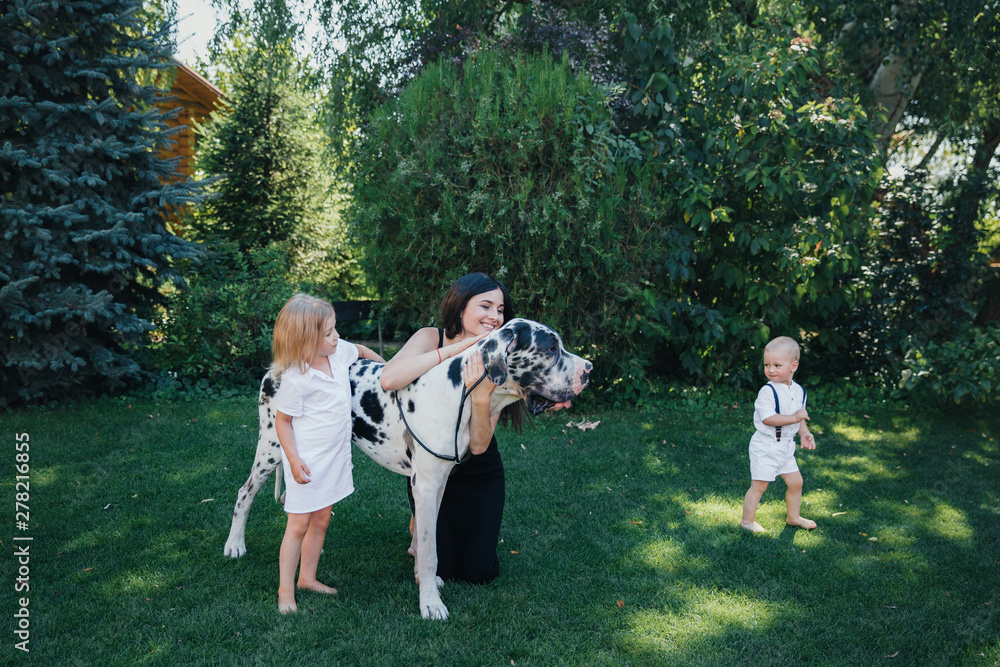 Obraz premium Family of brother and sister in white clothes play with a mom and a dog near them in the park or garden