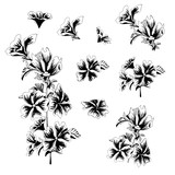 Vector flowers Malva sylvestris. A set of floral elements drawn by ink. Black and white vector illustration on a white background. Tattoo sketch.