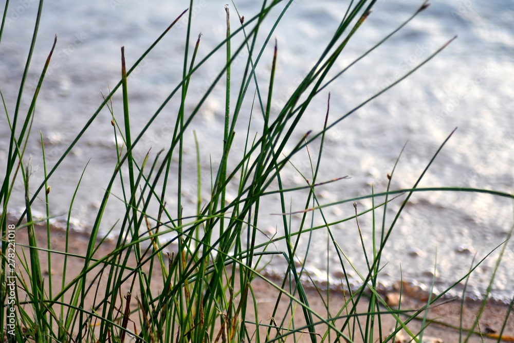 Obraz premium Inks Lake State Park 2019