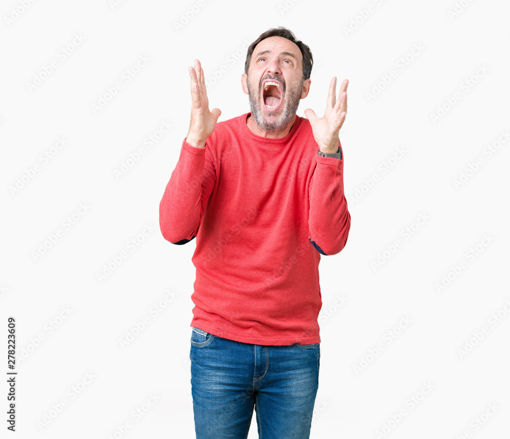 Handsome middle age hoary senior man wearing winter sweater over isolated background crazy and mad shouting and yelling with aggressive expression and arms raised. Frustration concept. Handsome middle age hoary senior man wearing winter sweater over isolated background crazy and mad shouting and yelling with aggressive expression and arms raised. Frustration concept.