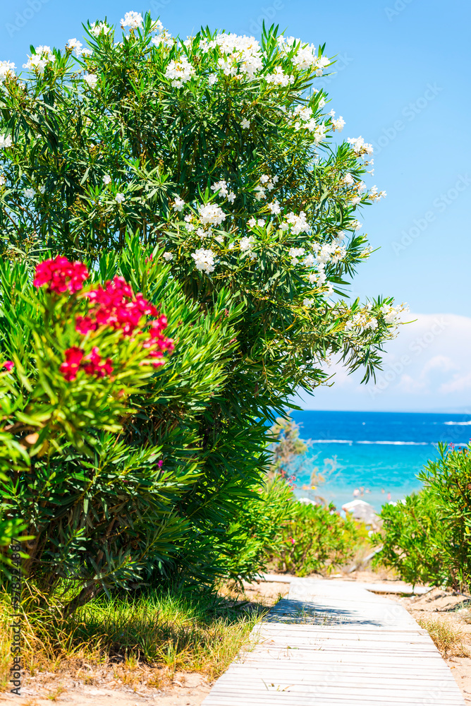 Famous beach in Zakynthos island
