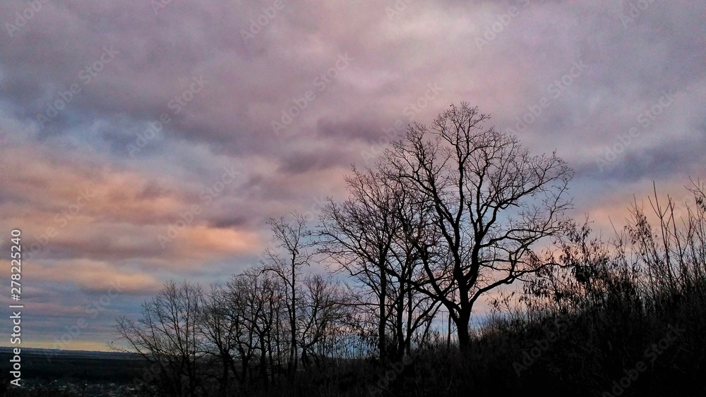 Fototapeta premium a perfect sunset includes awesome clouds and magnifique sky