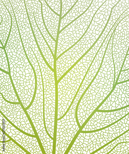 Background texture leaf. Vector illustration. 