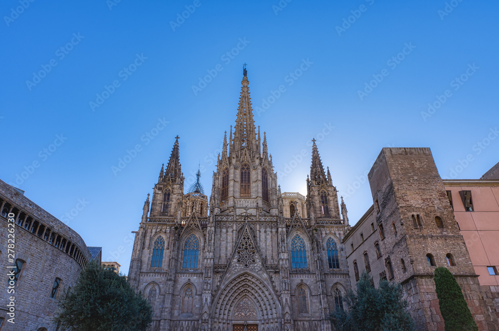 The Cathedral of Barcelona, detail of the main facade in typical gothic style with stone friezes and gargoyles. Barri Gotic, Barcelona