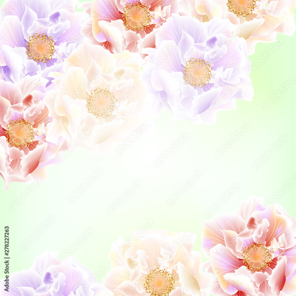 Beautiful background with roses flowers. Vector illustration. 