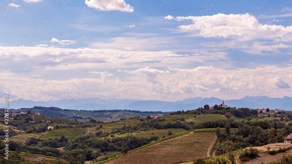 Stormy day in the vineyards of Brda, Slovenia