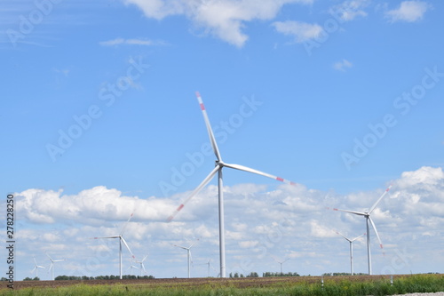 wind turbines in the field © Rinat