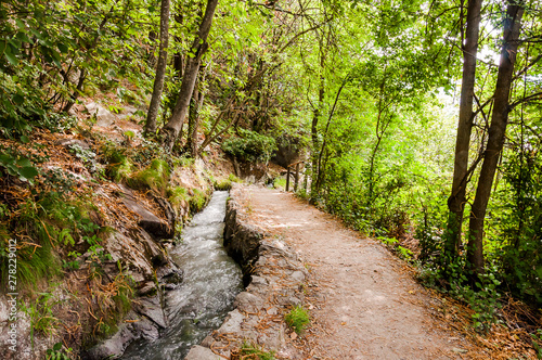 Algund, Waalweg, Wasserversorgung, Wanderweg, Wald, Vinschgau, Südtirol, Sommer, Italien photo