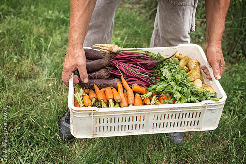 Man holding box with fresh, organic vegetables